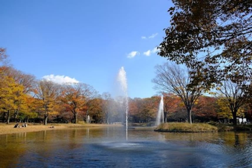 Yoyogi Park-2